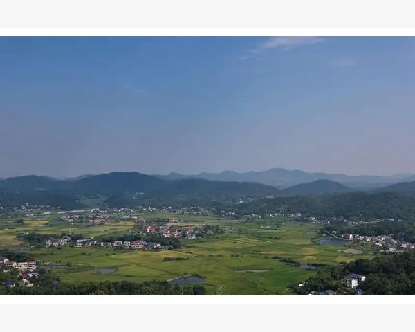 中医视角下的肝胆脾胃调理秘籍
