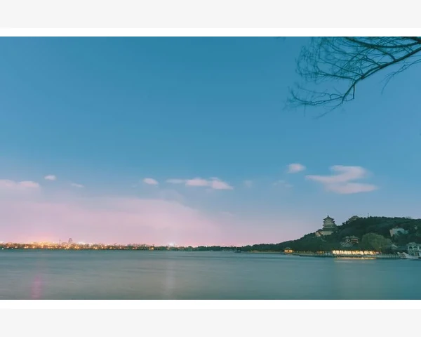 中医视角下的肝肾脾胃：调和与平衡之道